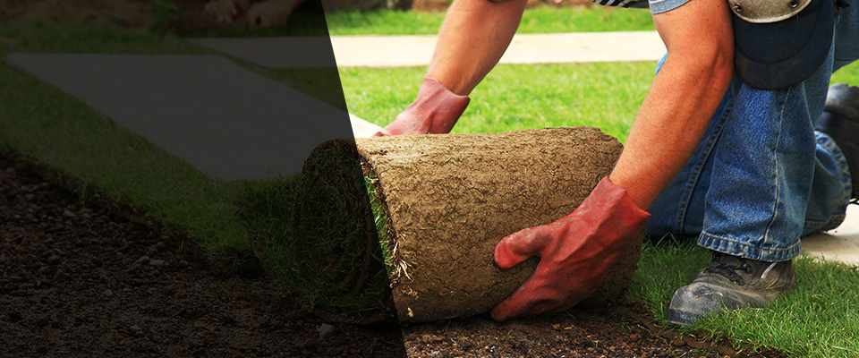 South Dartmouth Landscapers